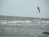  surfeur dans les airs